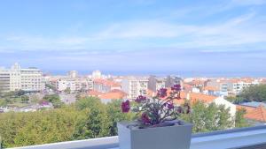 Panorama Penthouse