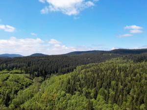 Panoramablick Hohegeiss