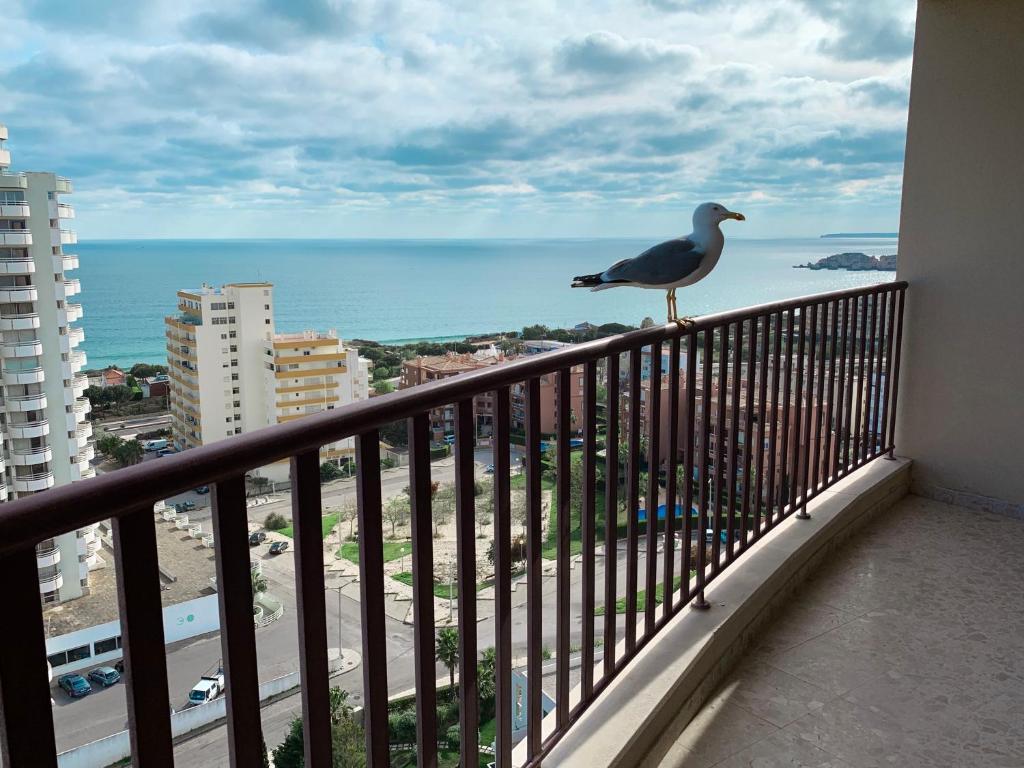 Panoramic Apartment in Portimao: Ocean view, WiFi Rua Agosto Azul, Building 2B, Clube Praia Mar, Apartment 1409, 8500-510 Portimão
