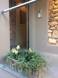 Appartement Pantone Ultra 10 Steinbruchweg 69221 Dossenheim Bade-Wurtemberg
