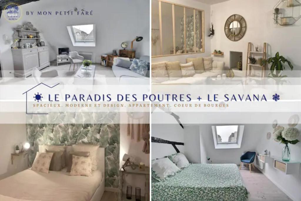 Appartement Paradis des Poutres & Le Savana Cœur de Bourges 24 Rue Littré 18000 Bourges