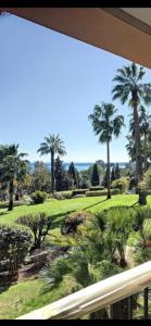 Paradise sur la mer