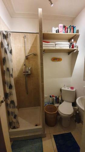 Paris 15: Superbe appartement situé idéalement