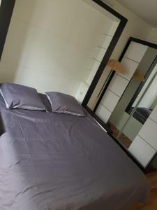 PARIS AURIOL