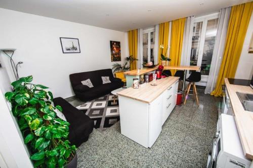 Paris City Flat