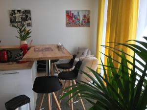 Paris City Flat