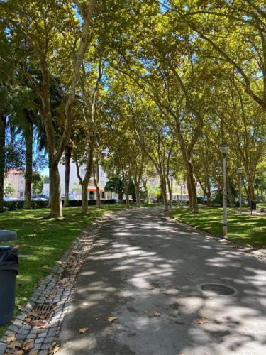 Park View Setúbal. Apartamento central com vista.
