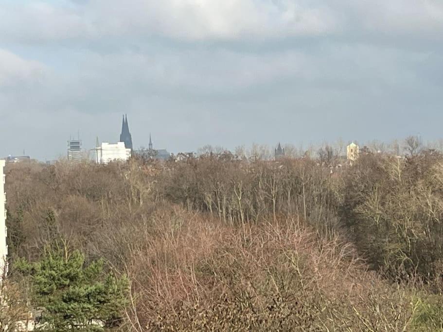 Parkblick mit Dom 13 Nauheimer Straße, 50969 Cologne