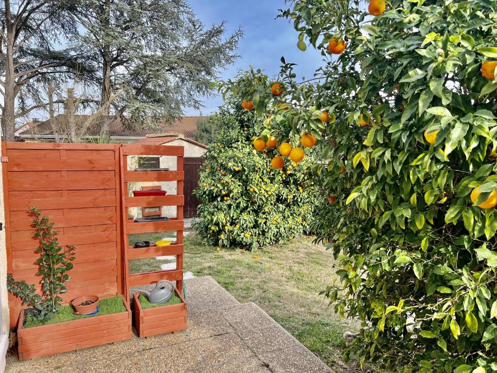 Parterre Ferienwohnung mit grosser Terasse 82494 Krün