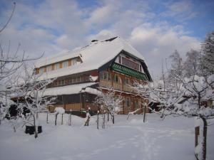 Appartement Peaceful Apartment in Baden W rttemberg with Balcony  79872 Bernau im Schwarzwald Bade-Wurtemberg