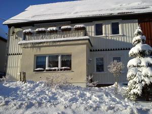 Appartement Peaceful Apartment in H ttenrode near Braunlage Ski Area  38889 Hüttenrode Saxe-Anhalt
