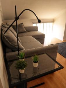 Peniche surfshop House