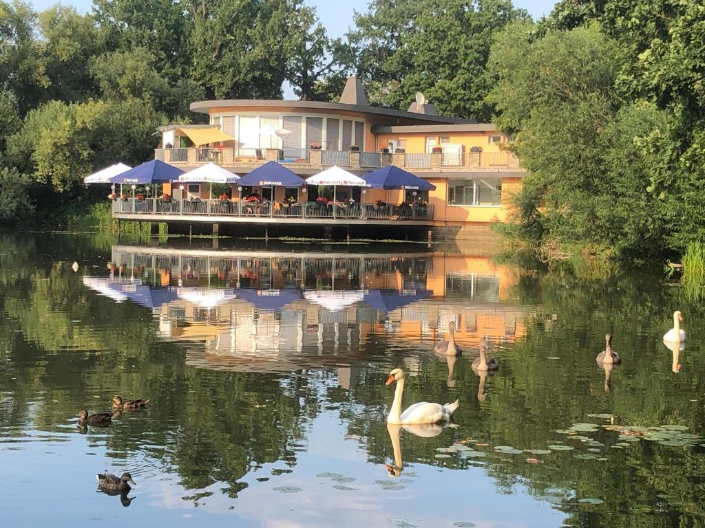 Pension am See Wolffersdorffstraße 10, 04860 Torgau