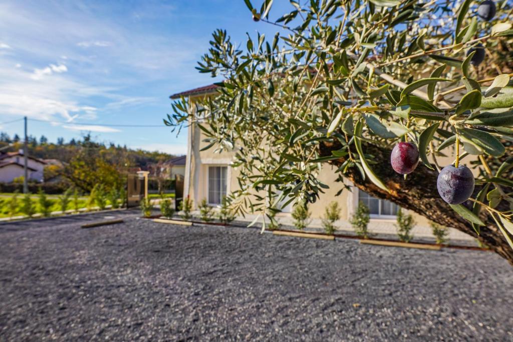 Pension Martens - Jana 18375 Wieck