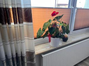 Pension zum Winterberg