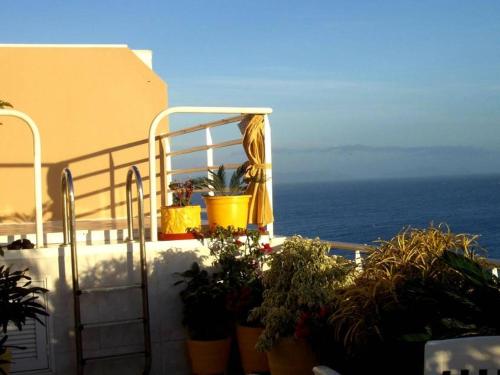 Penthaus Villa Erika Madeira