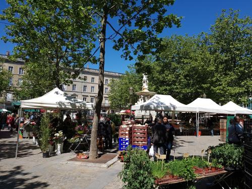 Penthouse Apartment overlooking Place Carnot