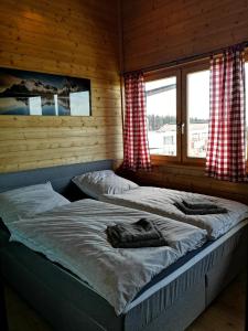 PENTHOUSE Appartement Bergliebe Sankt Englmar