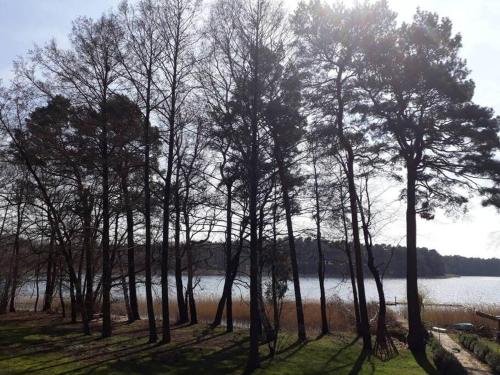 Penthouse Bernd im Waldschlösschen direkt am See