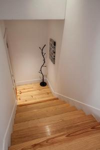 Penthouse Lisboa 204