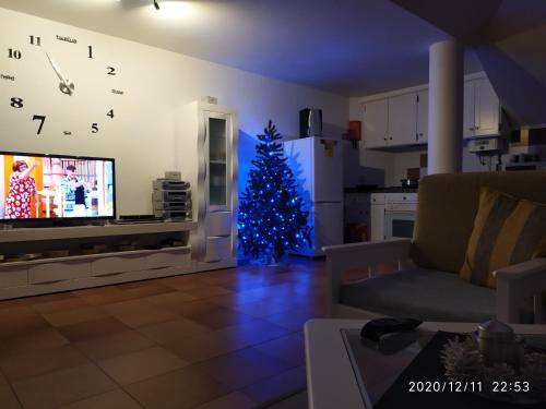 Penthouse Marina Sol