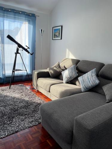 Penthouse Palmeira