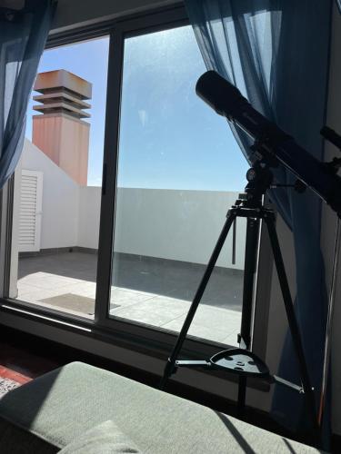 Penthouse Palmeira