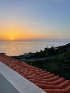 Penthouse Palmeira