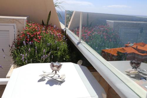 Penthouse Ventur