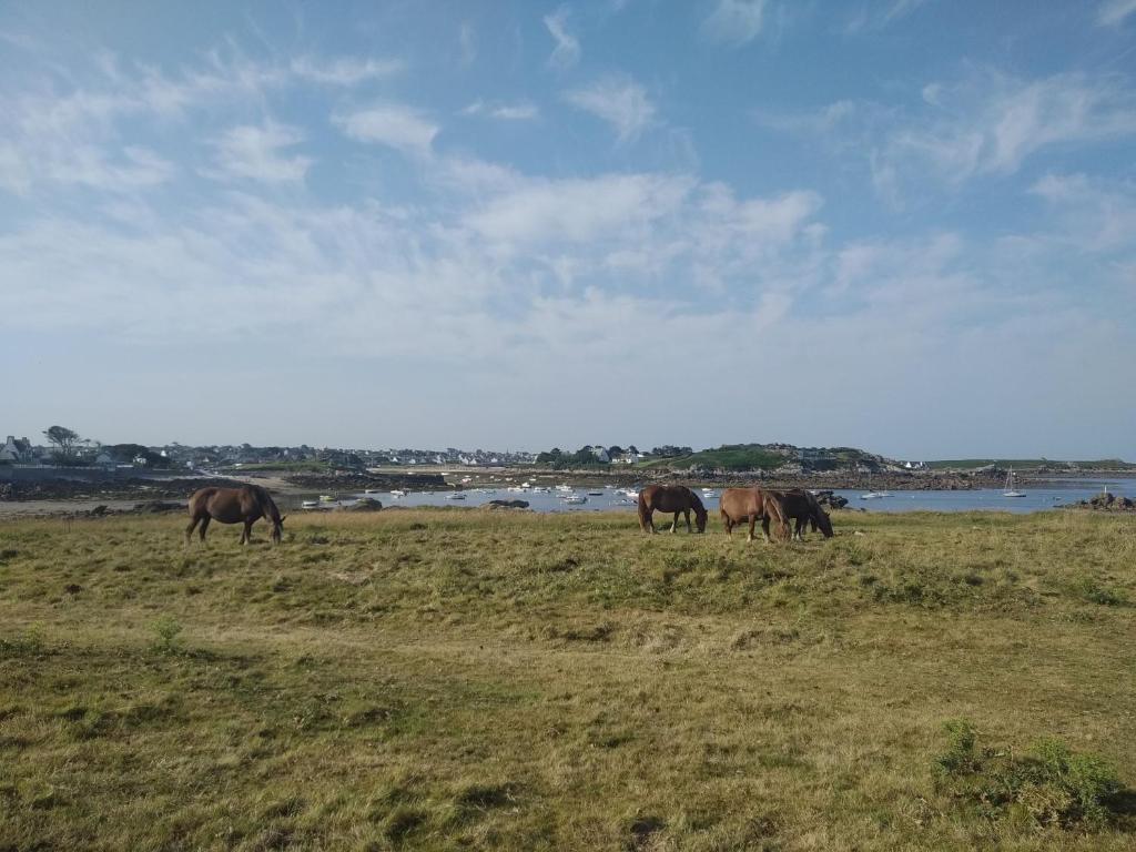 Perle De Nacre 85800 Saint-Gilles-Croix-de-Vie