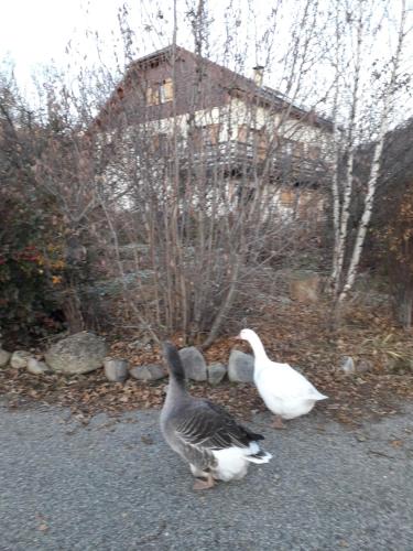 Petit appartement en montagne