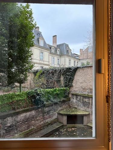 Petit cocon au cœur de Strasbourg