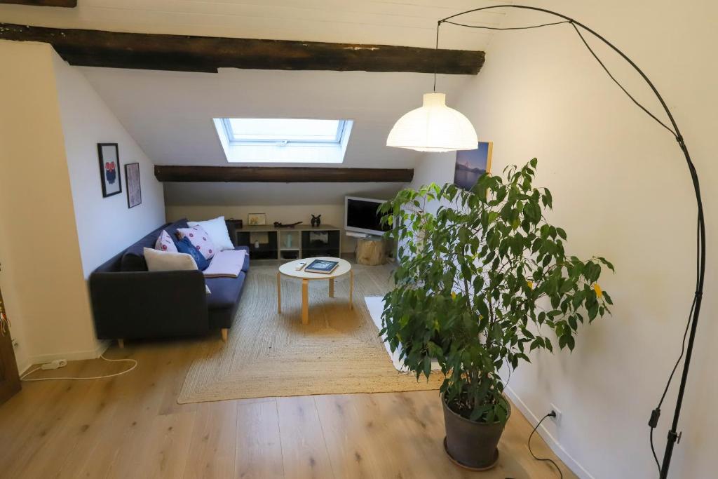 Appartement Petit-Coeur charmant en centre ville Carnot, 18 74000 Annecy