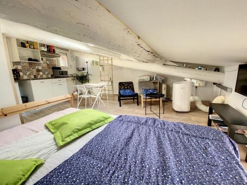 Petit St Louis Studio mansardé atypique climatisé