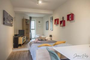 Petit studio hypercentre d'Orléans avec jardin