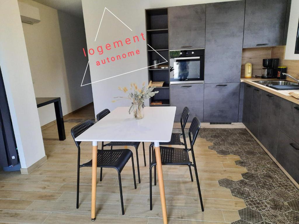 Appartement Petite maison chaleureuse 1132 Chemin du Got 01440 Viriat