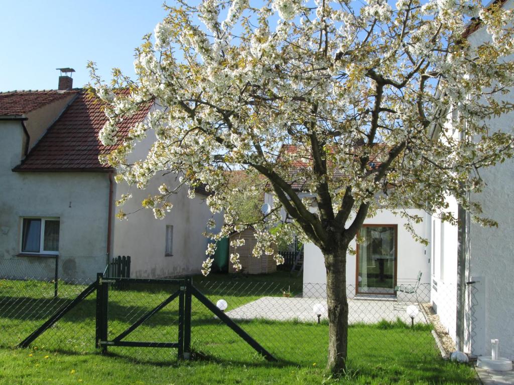 Pfeiffer´s Ferienwohnung Weißenberger Straße 43, 02906 Diehsa