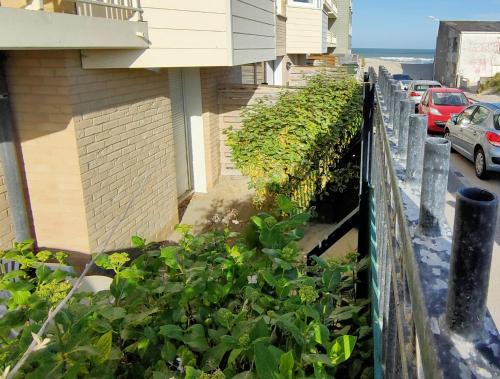 Pied dans l'eau Terrasse 30m plage