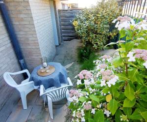 Pied dans l'eau Terrasse 30m plage