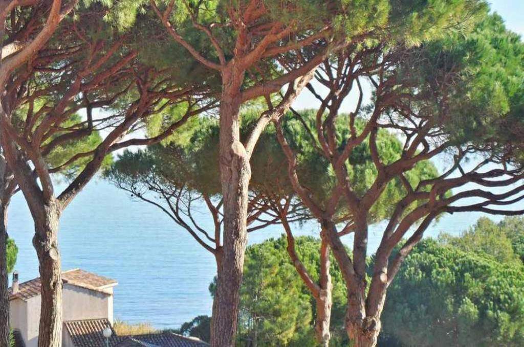 Appartement Pierre et Vacances n° 14 Les Accacias Les coteaux de la Nartelle 83120 Sainte-Maxime