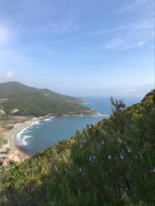 Appartement Pietracorbara les Chênes les chenes chez victor - hameau campolavia - Pietra Corbara 20233 Oreta Corse