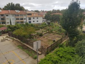 Pinewood Apartment