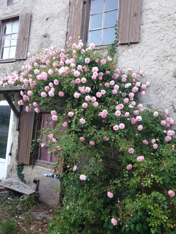 Pippi´s Ostseetraum