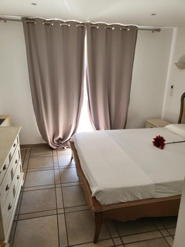 Appartement piscine sauna ping-pong musculation Vallauris france