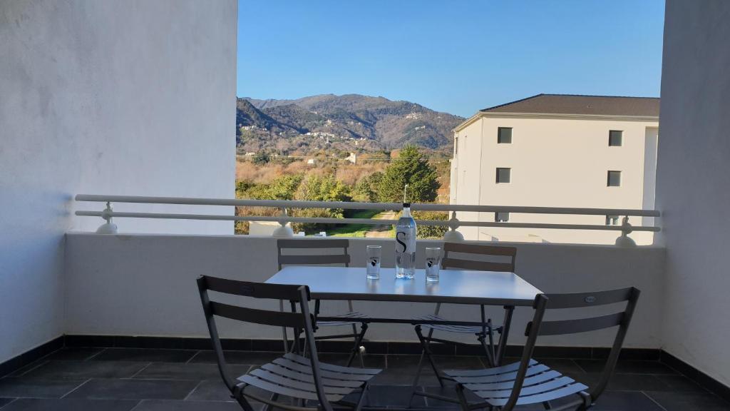 Place de Metz, Hyper-centre Grenoble, Studio 25 m2 38000 Grenoble