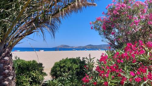 Plage des Pins, super studio front de mer