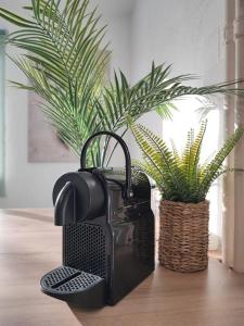 Plant'Asia