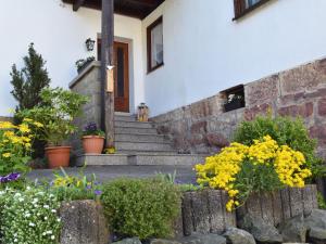 Pleasant apartment in Thuringian Forest with garden