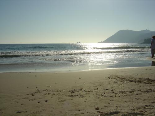 Plein sud