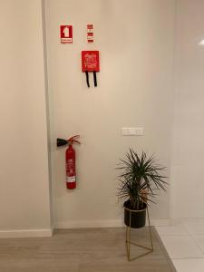 Pombal Suite